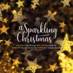 A SPARKLING CHRISTMAS - Farvet Vinyl
