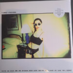 PJ HARVEY - 4-Track Demos
