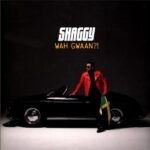 SHAGGY - Wah Gwaan?! - 2LP - Farvet Vinyl