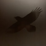 SIGUR RÓS - Odin's Raven Magic - 2LP