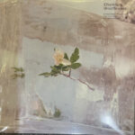 EFTERKLANG - Windflowers - Farvet Vinyl