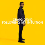 CRAIG DAVID - Following My Intuition - 2LP + CD