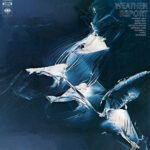 WEATHER REPORT - Weather Report