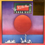 HEATVAWE - Too Hot To Handle - 2LP - Farvet Vinyl