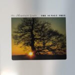 THE MOUTAIN GOATS - The Sunset Tree - Farvet Vinyl