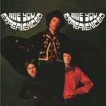 THE JIMI HENDRIX EXPERIENCE – Are You Experienced - 2 LP