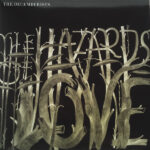 THE DECEMBERISTS - The Hazards Of Love 2LP