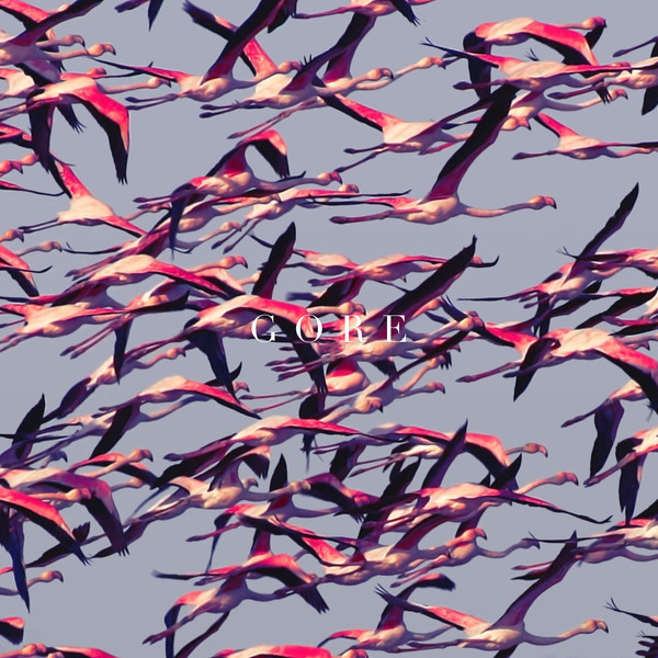 78151054a82c35c6e2e852c7fa386a0ff729b6.jpeg DEFTONES - Gore - 2LP - Farvet Vinyl - Billede 1